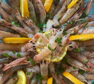 Pranzo su sciatumia - Lampedusa - cruditè di scampi